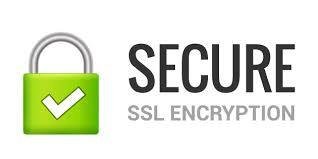 secure logo